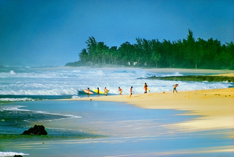 Pipeline, 1973