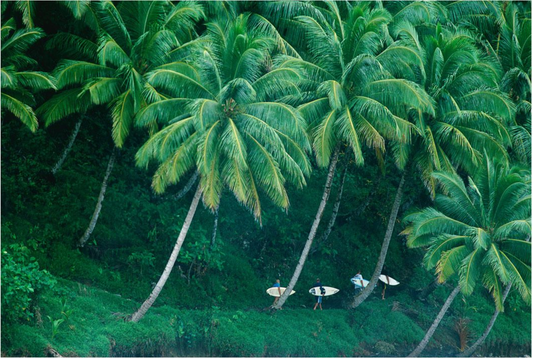 E Bay, Mentawai Islands, Sumatra, Indonesia, 2001